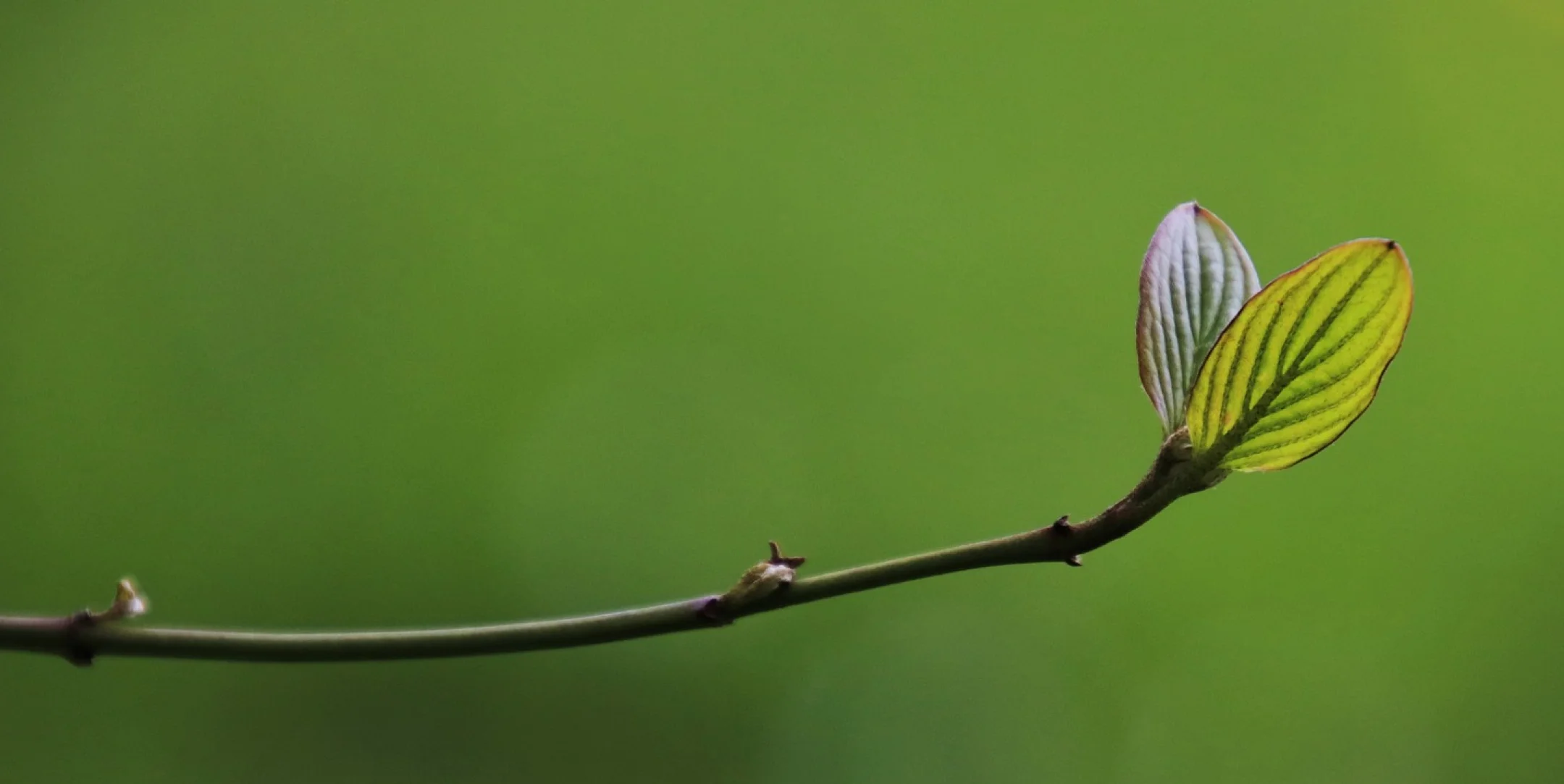 We work for your future